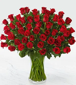 35 Rosas Ecuatorianas de Florero de Vidrio (Elige color) 35 Rosas Ecuatorianas de Florero de Vidrio (Elige color)