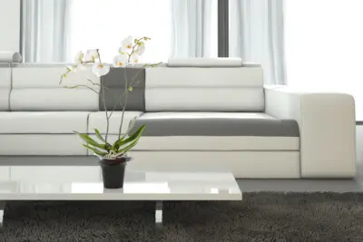 Orquídea Grande Phalaenopsis + Maceta Exclusiva Orquídeas Hobby Flower Adel Orquídea Grande Phalaenopsis + Maceta Exclusiva Orquídeas Hobby Flower Adel