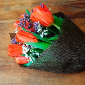 Ramo 15 Tulipanes (Elige color) Ramo 15 Tulipanes (Elige color)
